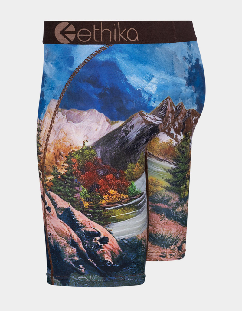 ETHIKA Bison Staple Boys Boxer Briefs image number 1