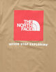 THE NORTH FACE Box NSE Mens T-Shirt image number 6