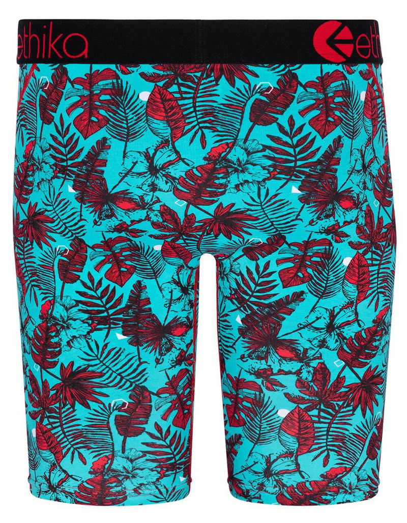 ETHIKA Shape Shifter Staple Boys Boxer Briefs image number 2