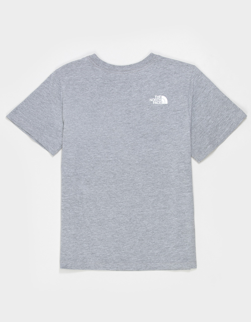 THE NORTH FACE Evo Print Box NSE Boys Tee image number 1