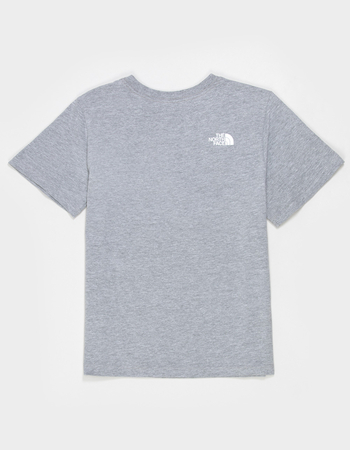 THE NORTH FACE Evo Print Box NSE Boys Tee Alternative Image