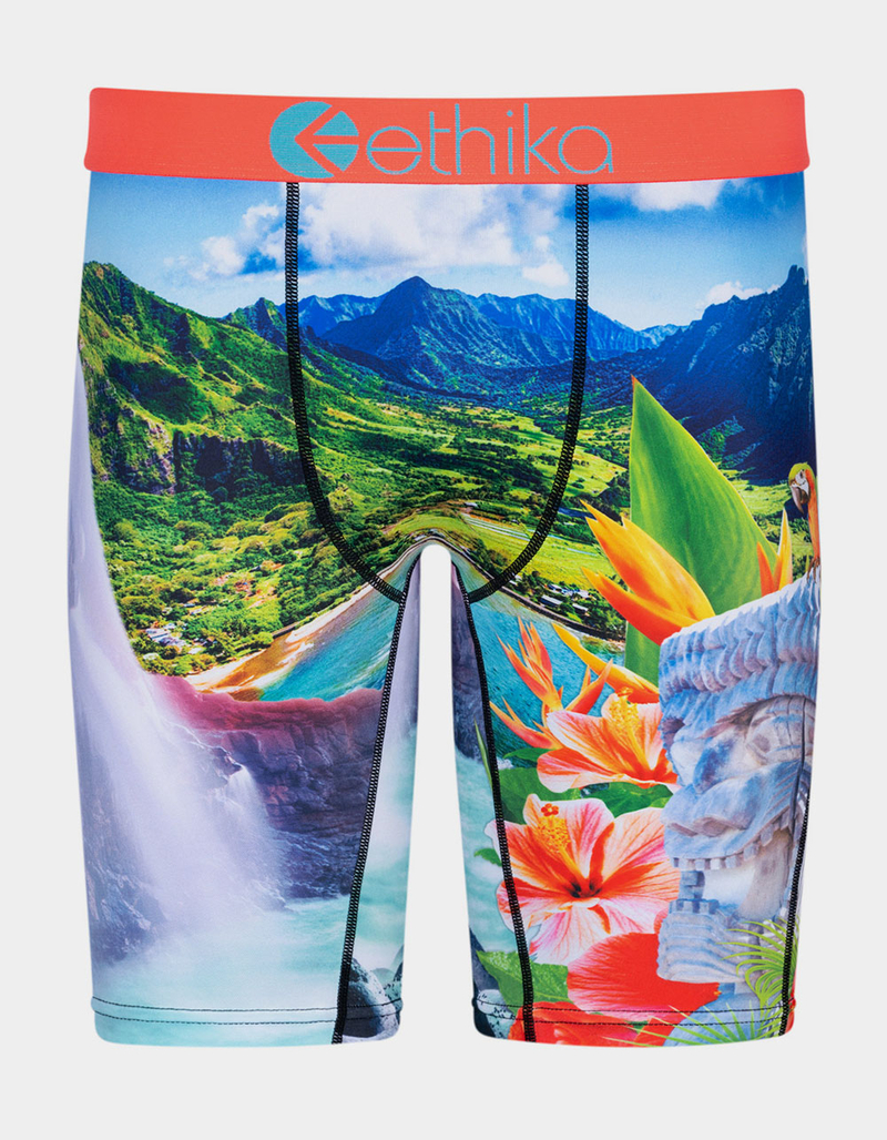 ETHIKA Island Time Staple Boys Boxer Briefs image number 0