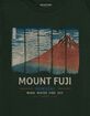 JAPAN Mount Fuji Distressed Panels Unisex Kids Tee image number 2