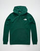THE NORTH FACE Red Box Forest Mens Hoodie image number 3
