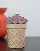 Barrel Ice Cream Purple Succulent image number 1