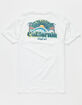 RIP CURL California Cosmic Barrel Mens T-Shirt image number 2