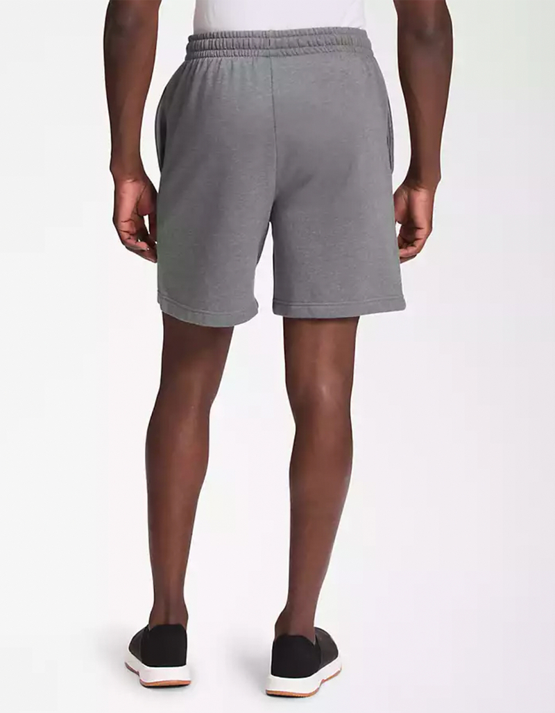 THE NORTH FACE Box NSE Mens Shorts image number 3