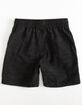 BILLABONG All Day Slub Layback Little Boys Shorts (4-7) image number 2