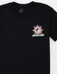 SANTA CRUZ Sol Spiral Boys Tee image number 4