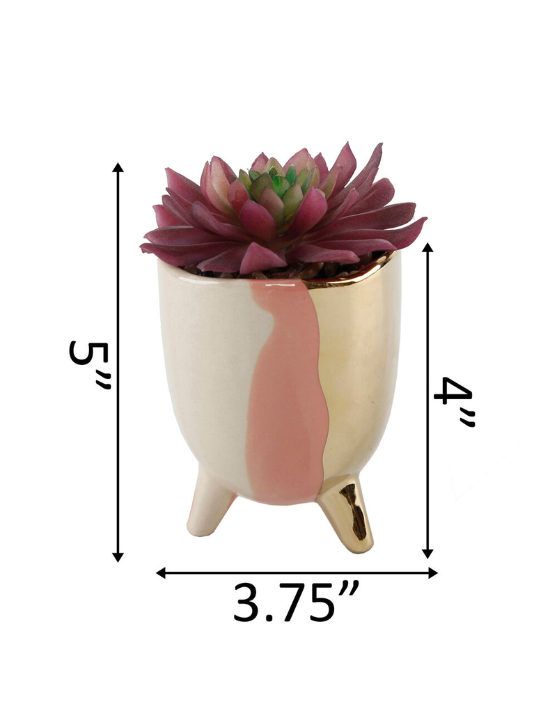 FLORA BUNDA Blush Succulent Pot image number 1
