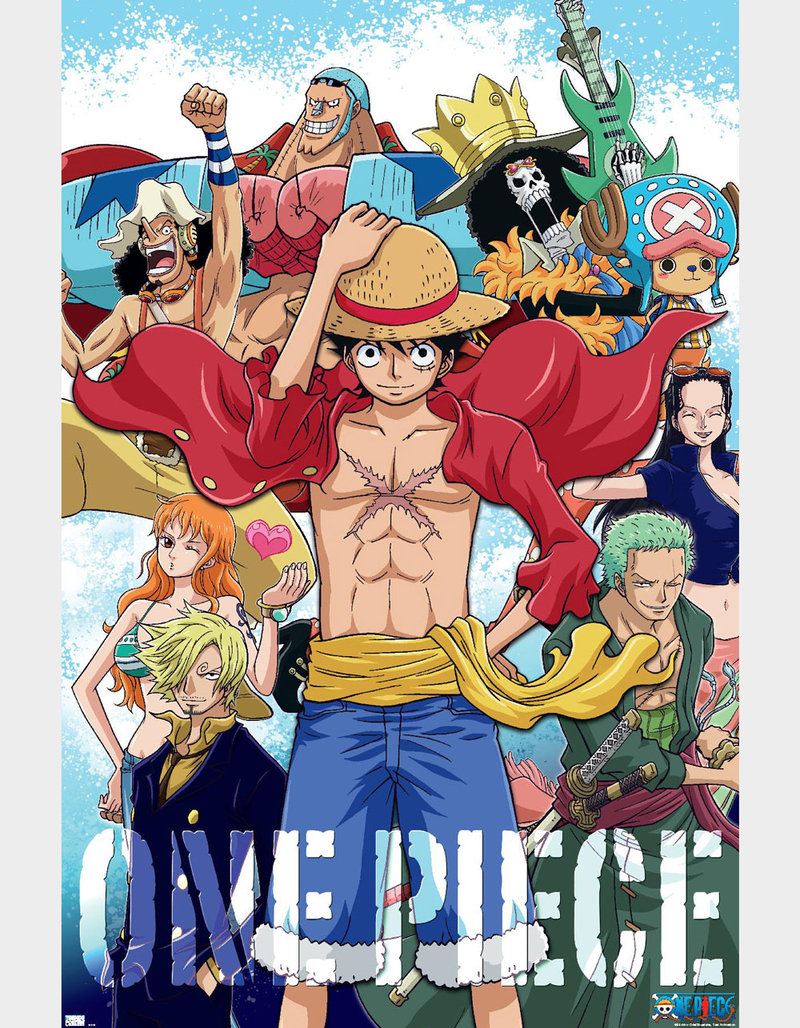 ONE PIECE Crew Wall Poster image number 0