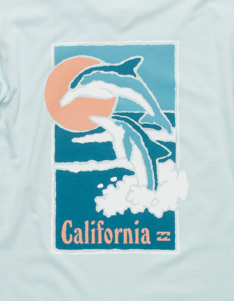 BILLABONG Delphis CA Mens Tee image number 3