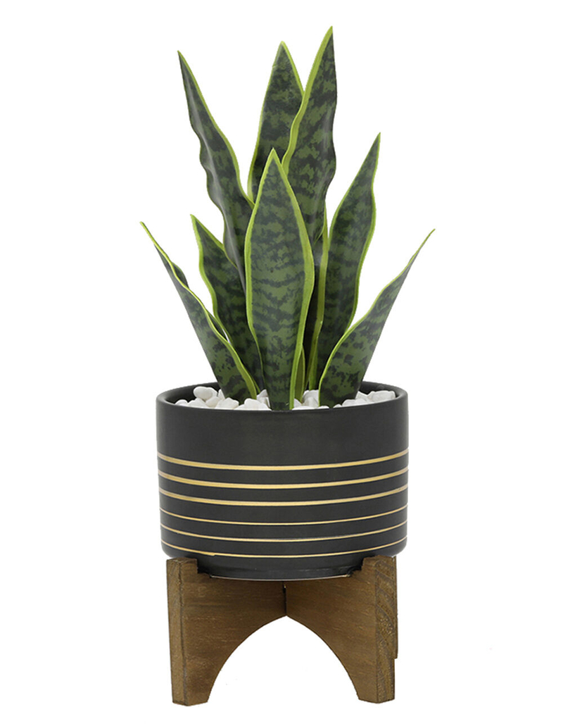 FLORA BUNDA Snake Plant Black Pot image number 0