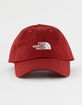 THE NORTH FACE Norm Strapback Hat image number 2