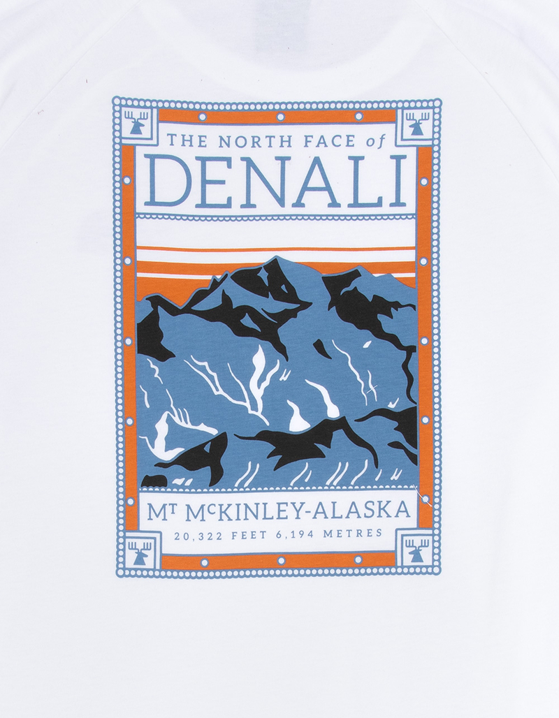 THE NORTH FACE North Faces Mens Tee image number 2