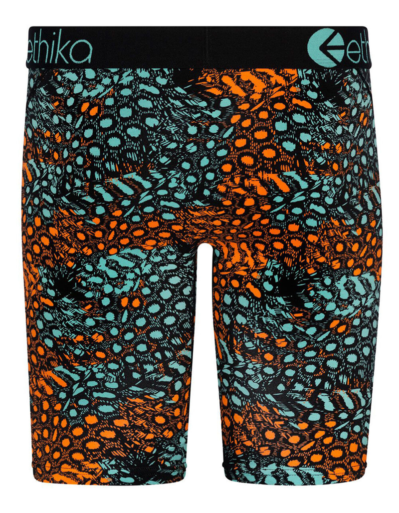 ETHIKA Birds Of A Feather Boys Boxer Briefs image number 2