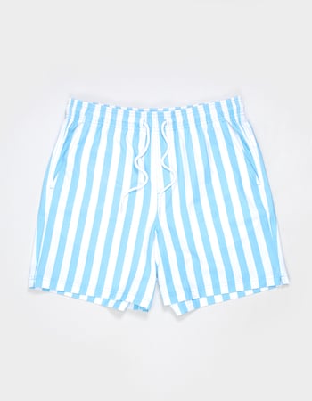 RSQ Mens 6.5" Swim Trunks Alternative Image
