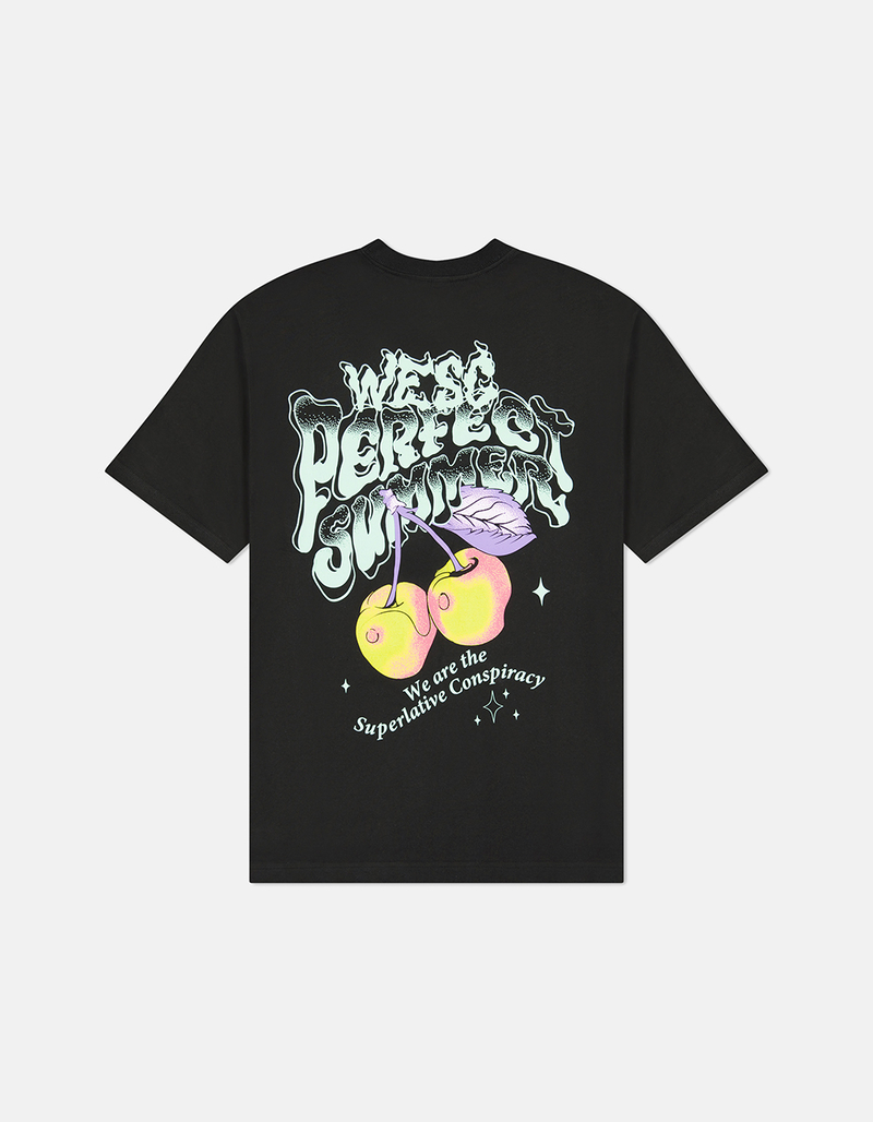 WESC Mason Perfect Summer Mens Tee image number 1