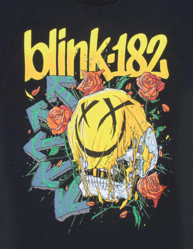 BLINK-182 Boys Tee image number 2