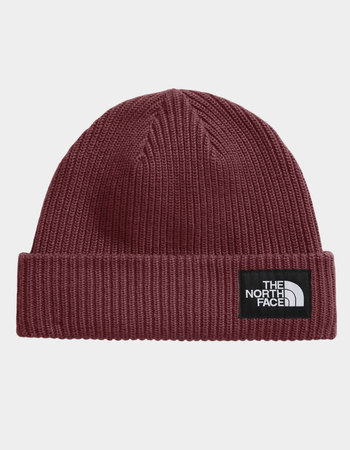 THE NORTH FACE Salty Lined Beanie Primary Image