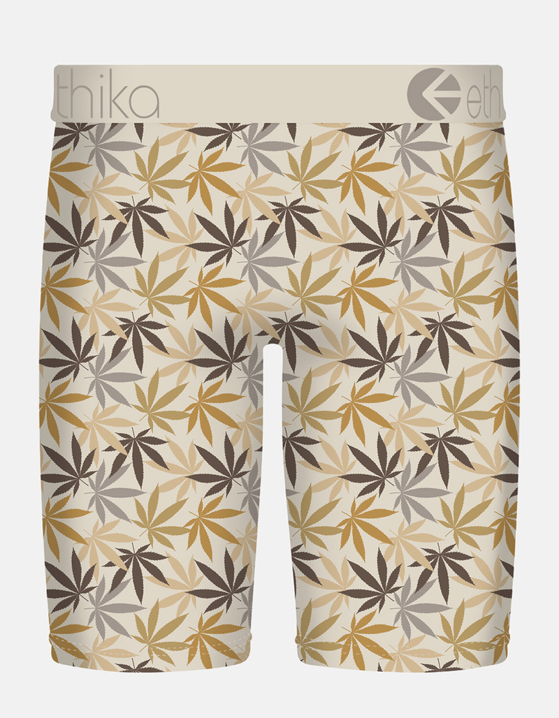 ETHIKA Pocket Garden Staple Mens Boxer Briefs image number 1