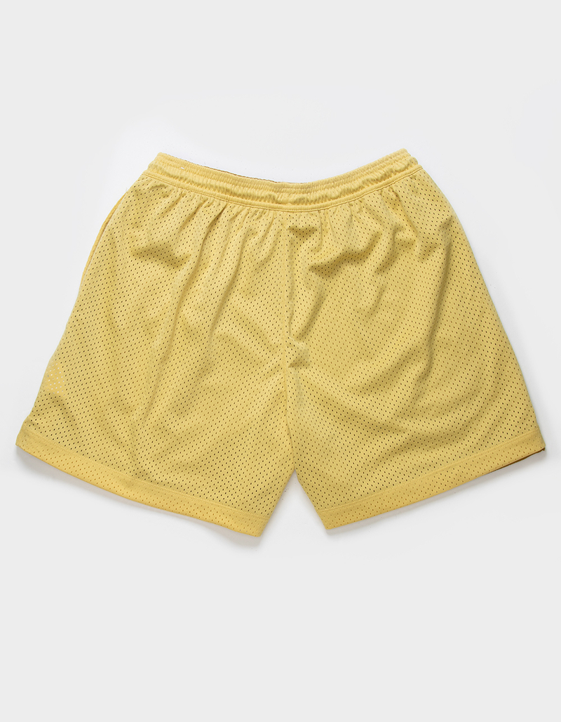 NIKE SB Mens Basketball Shorts image number 1