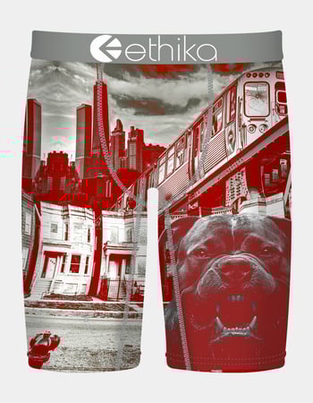 ETHIKA Off The Porch Staple Boys Boxer Briefs Primary Image