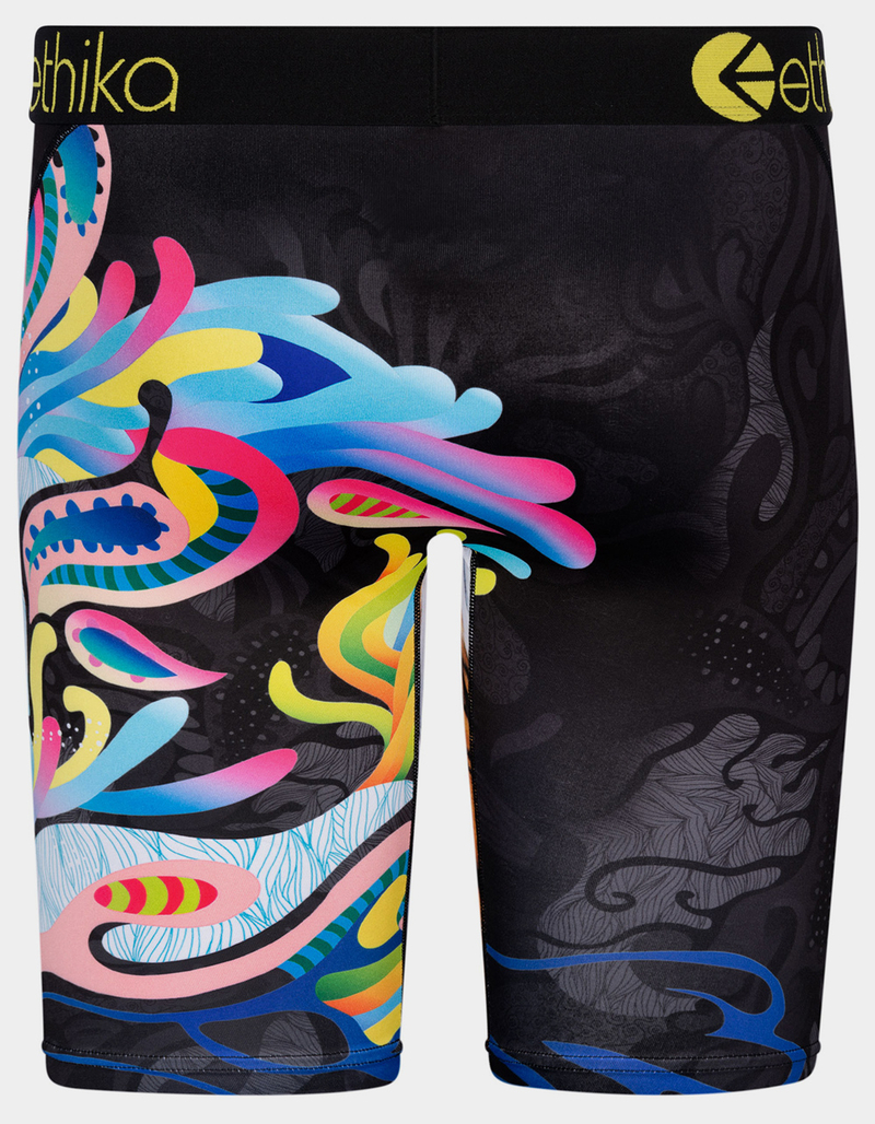 ETHIKA Painted Tiger Staple Mens Boxer Briefs - MULTI