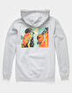 OBEY Flames Mens Hoodie image number 1