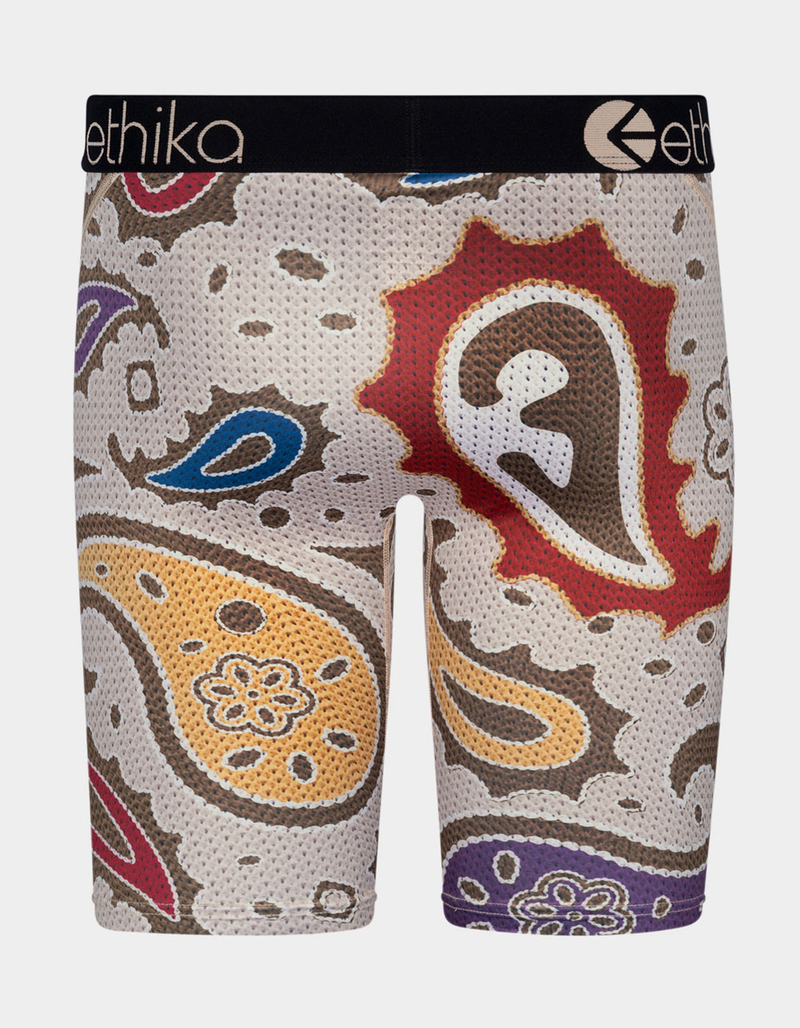 ETHIKA E Paisley Staple Boys Boxer Briefs image number 2