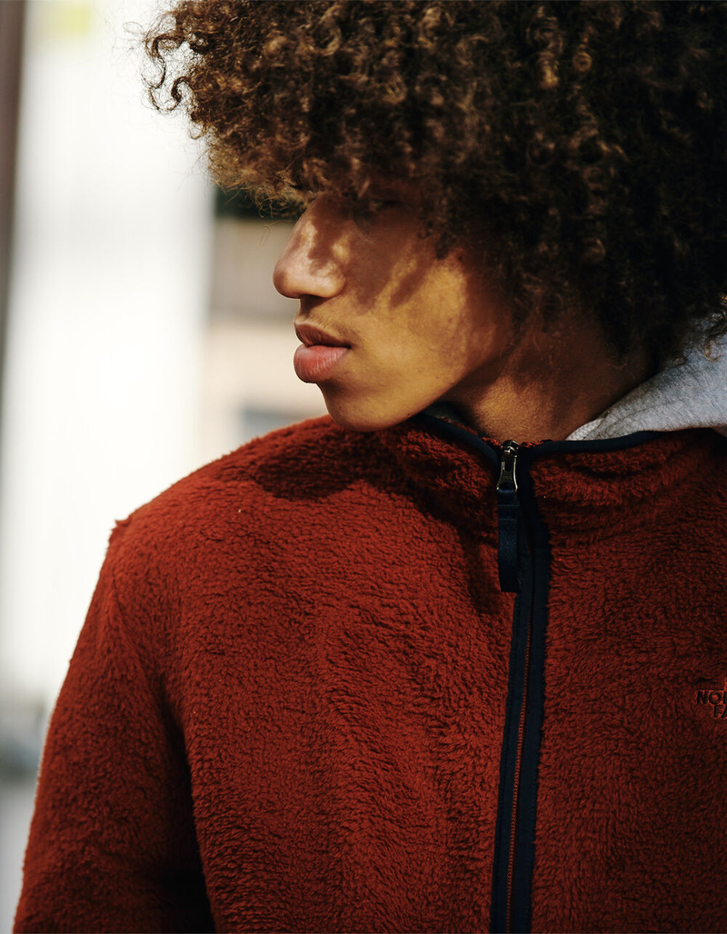 THE NORTH FACE Dunraven Mens Sherpa Zip Up Sweatshirt image number 1