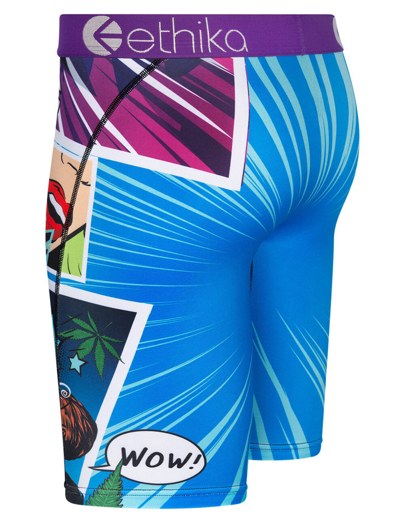 ETHIKA Up Roar Mens Boxer Briefs image number 1