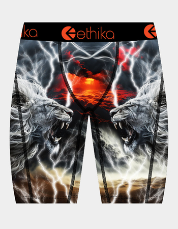 ETHIKA Lion Strike Staple Boys Boxer Briefs Primary Image