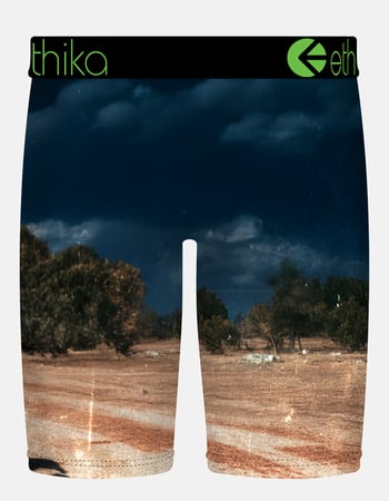 ETHIKA Neon Stallion Staple Mens Boxer Briefs Alternative Image