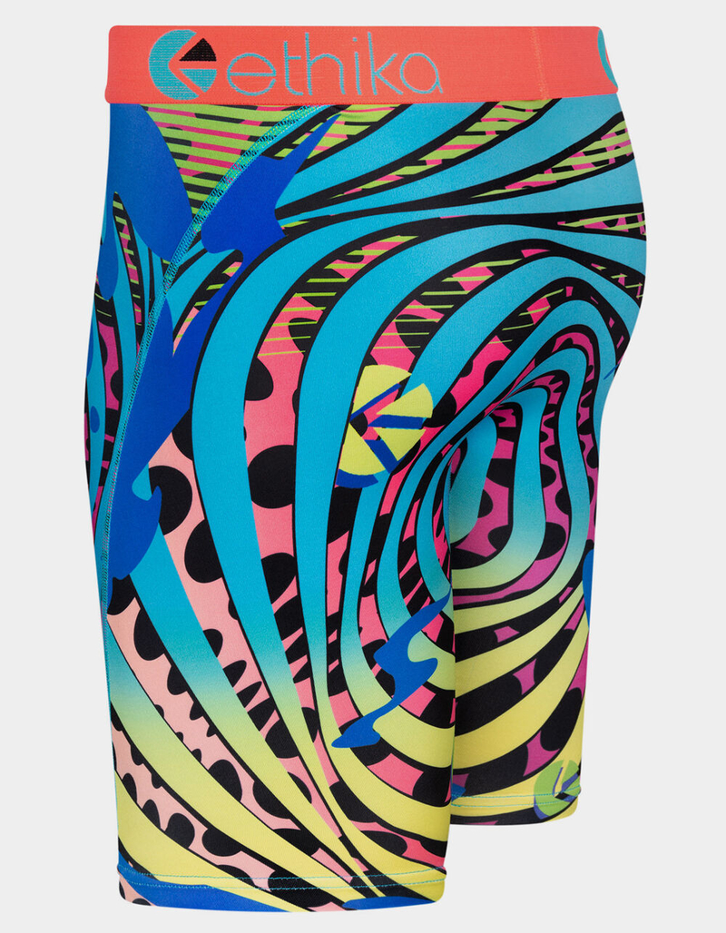 ETHIKA Black Light Mens Boxer Briefs image number 1