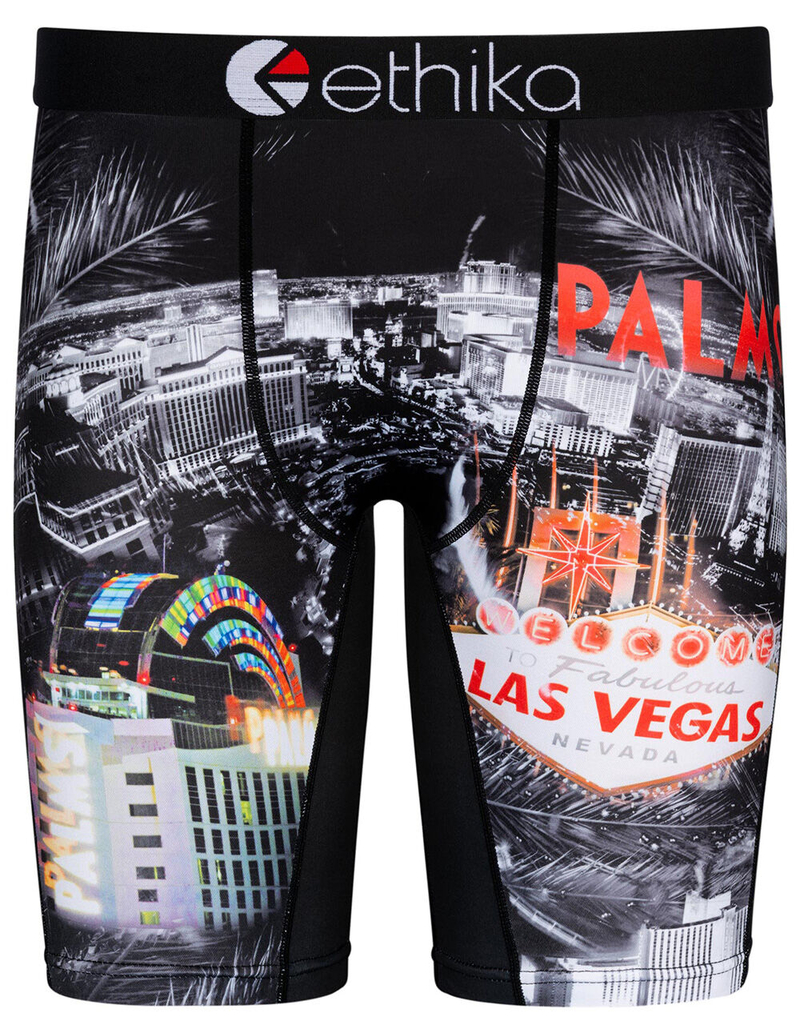 ETHIKA Palms Palace Mens Boxer Briefs image number 0
