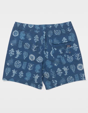 SALTY CREW Crew Boys Volley Shorts Alternative Image