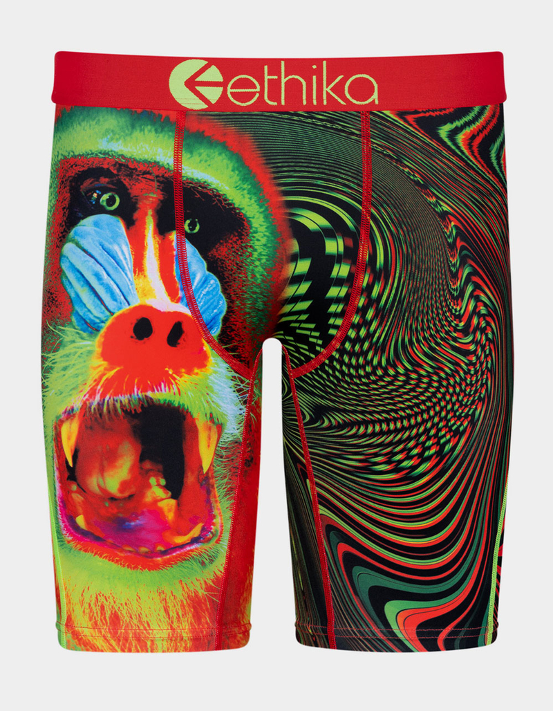 ETHIKA Primal Flo Staple Boys Boxer Briefs image number 0