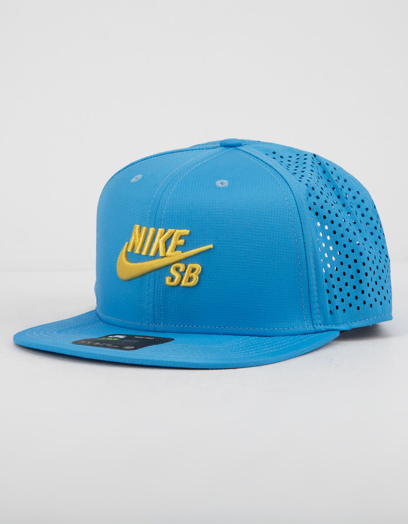 NIKE SB Dri-FIT Performance Mens Trucker Hat image number 0