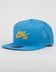 NIKE SB Dri-FIT Performance Mens Trucker Hat image number 1