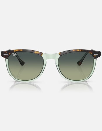 RAY-BAN Eagle Eye Sunglasses Alternative Image