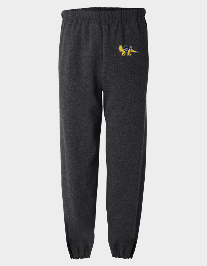 UNIVERSITY OF CALIFORNIA IRVINE School Logo Mens Sweatpants image number 0