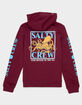 SALTY CREW Ink Slinger Boys Hoodie image number 2