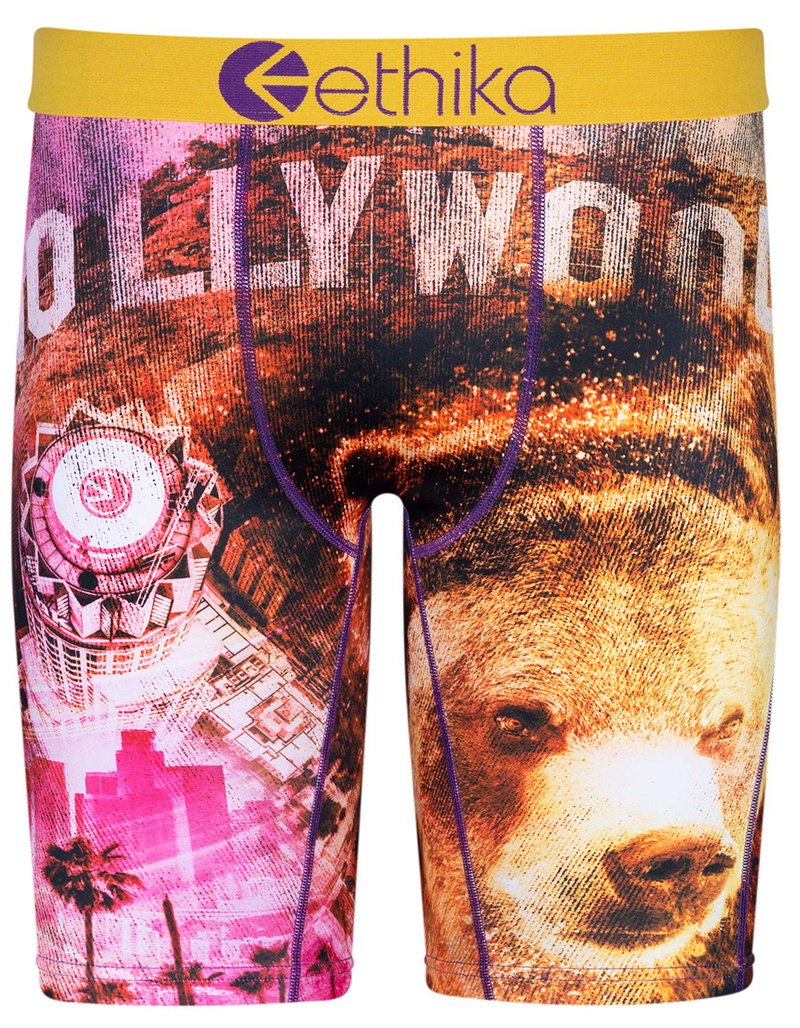 ETHIKA City Strong Staple Mens Boxer Briefs image number 0