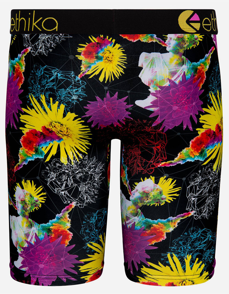 ETHIKA Imaginate Staple Boys Boxer Briefs image number 2