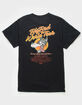 EVERYDAY VANDALS Big Bad World Tour Mens Tee image number 1