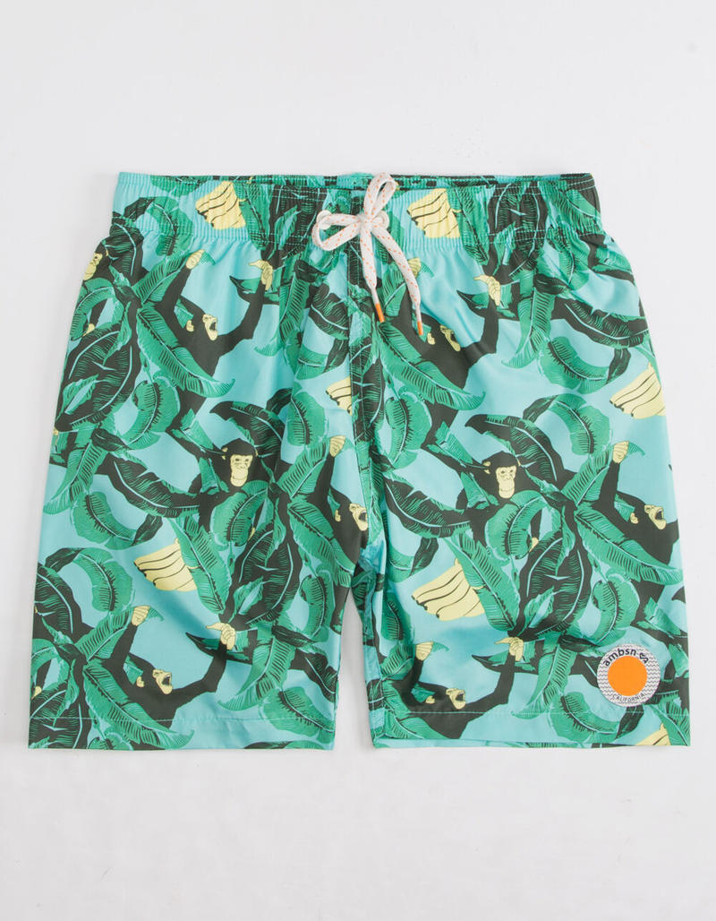 AMBSN Nannered Boys Swim Trunks image number 0