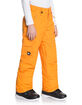QUIKSILVER Porter Boys Snow Pants image number 2