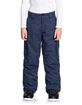 DC SHOES Banshee Youth Snow Pants image number 1