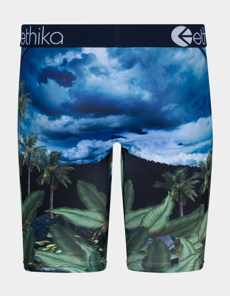 ETHIKA Aztecat Staple Boys Boxer Briefs image number 2